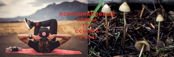 spice Алзамай
