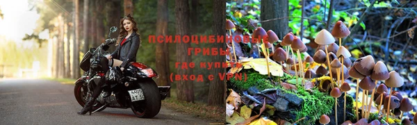 гидра Алексеевка