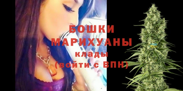 гидра Алексеевка