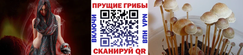 Псилоцибиновые грибы Psilocybine cubensis  Бикин 